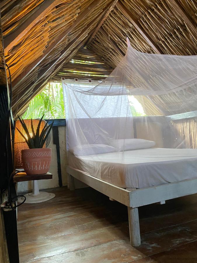 Bonita Hostel Palomino Exterior photo